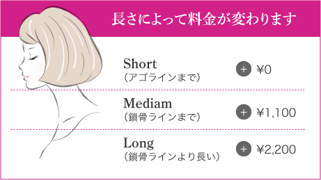 長さによって料金が変わります