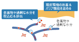 キュアパッション